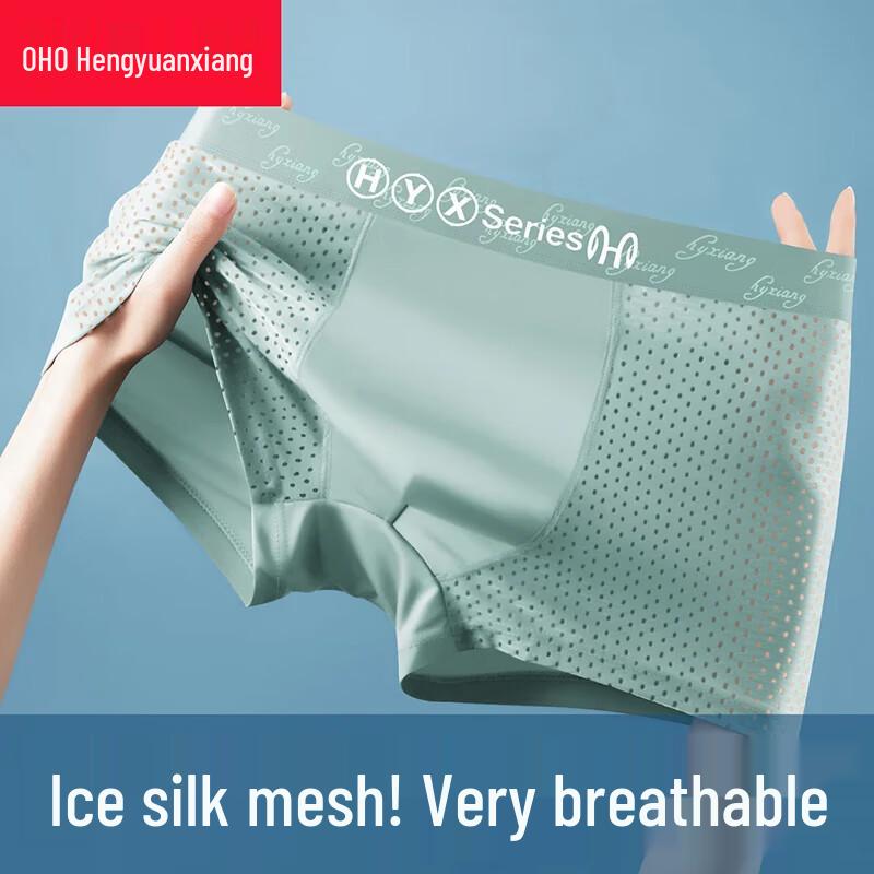 Hengyuanxiang Men's Plus Size 7A Antibacterial Ice Silk Mesh Boxer Briefs