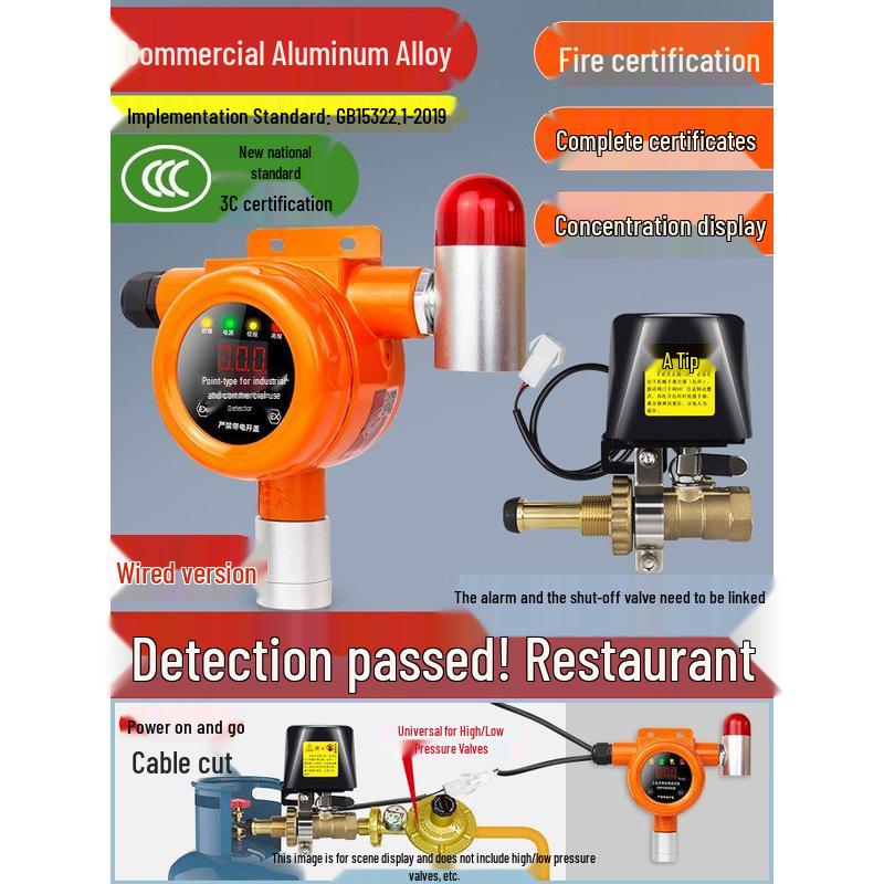 MDNG Baorui Combustible Gas Alarm with Auto Shut-off CN plug (adapter included)