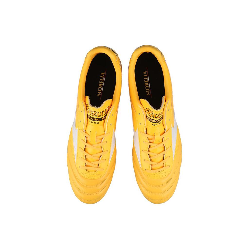 Mizuno Pro 2 Pro Round Toe Lace-Up AG (Rubber Short Studs) Artificial Turf Fabric Shock Absorption Soccer Shoes Men Soccer Shoes P1GA221401