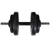 VidaXL Kit de Barre d'Haltère et 2 Haltères Salle de Musculation Gymnase 90375