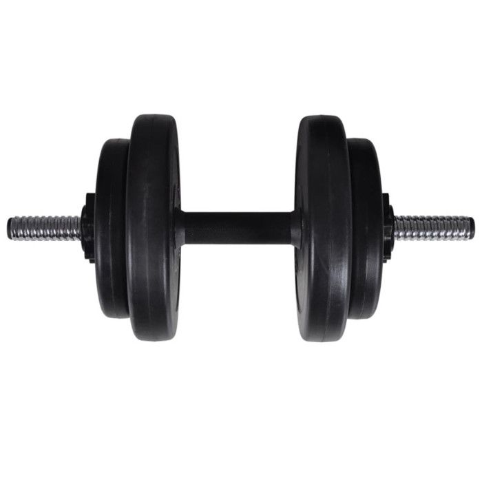 VidaXL Kit de Barre d'Haltère et 2 Haltères Salle de Musculation Gymnase 90375