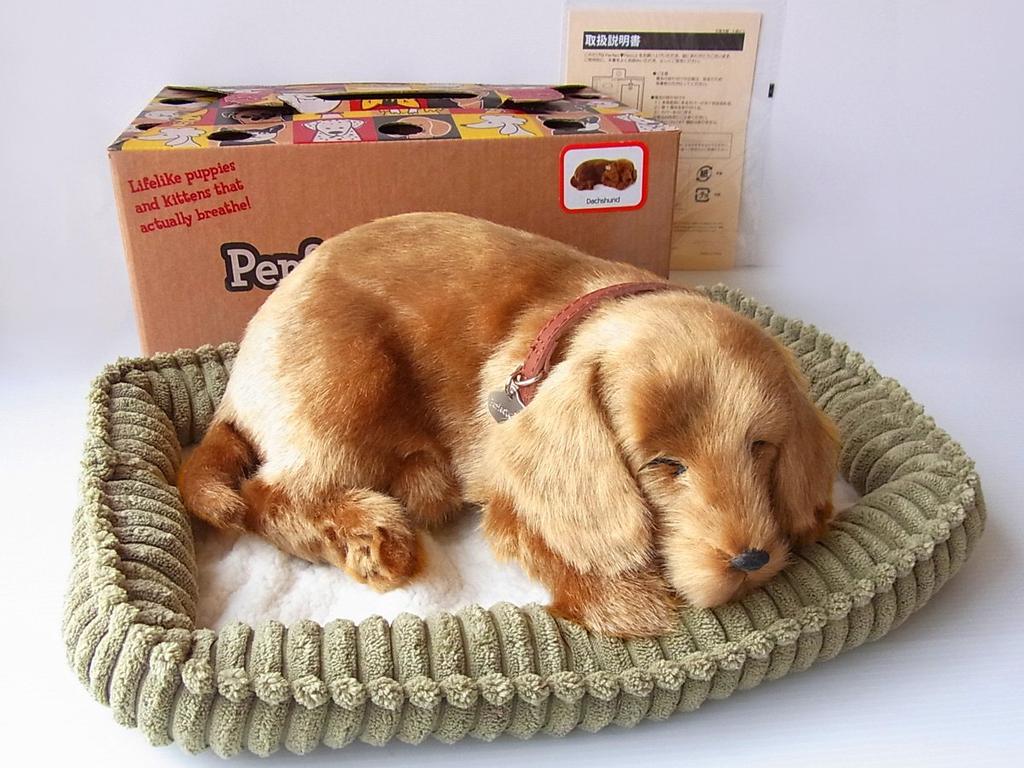 Ninian and Kino Perfect Pet Dachshund Smooth Plush Lifelike Dog Stuffed Animal (Small) (Red) Dog, Realistic, Dachshund, Animal, Soothing, Moving,