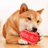 Pet food leaking toys dog chewing fun creative toys grinding teeth cleaning TPR chewing toys