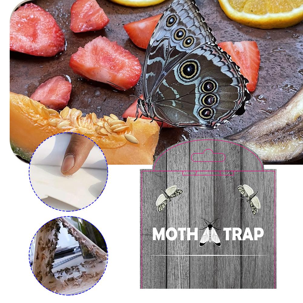 5 Pièces Pièges à mites alimentaires avec phéromones Colle collante Prime Pièges à mites des produits céréaliers Pièges adhésifs à mites alimentaires pour la nourriture et les placards