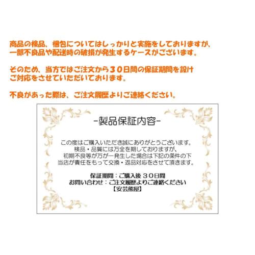 Aki Kumaya's Impressive 30cm Tyrannosaurus Rex Figure, King of the Dinosaurs, Standing On Both Legs, PVC, Opening and Closing Mouth [Warranty Included