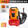 STK 48V Lithium Cordless Blower CN plug (adapter included)