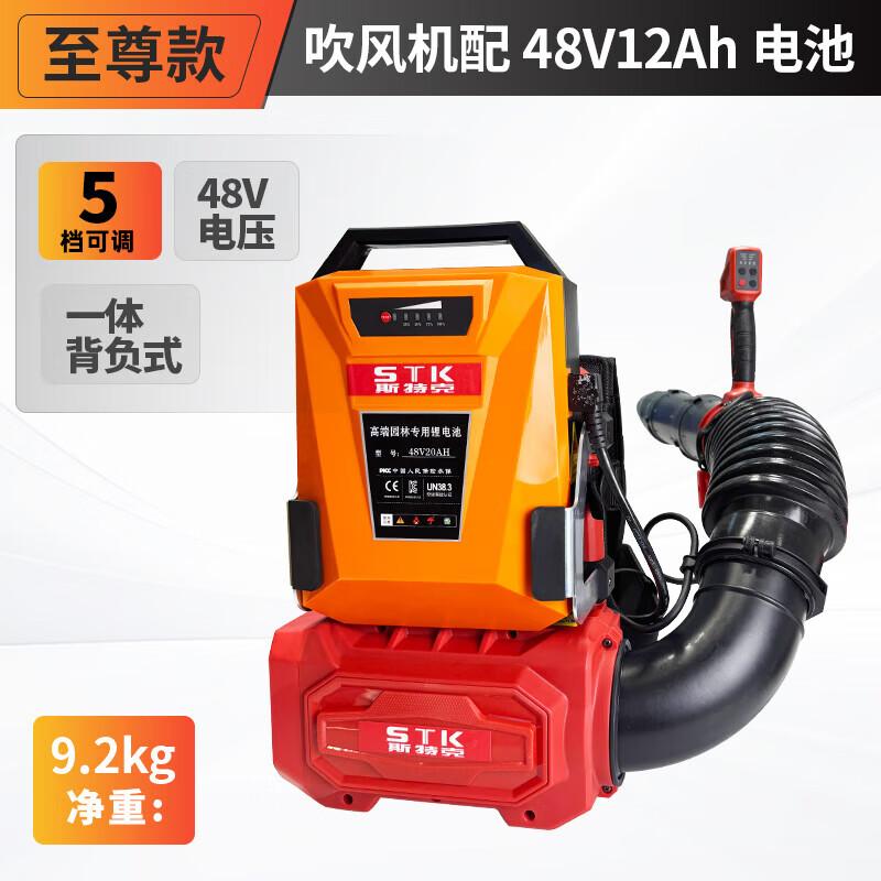STK 48V Lithium Cordless Blower CN plug (adapter included)