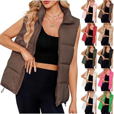 Women's Fashion Standing Collar Sleeveless Cotton Jacket Zipper Thickened Vest Jacket