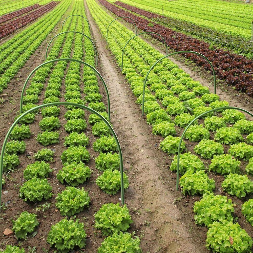 Steel Arch Shape Farm Grow Holder Frame Plant Hoop Tunnel Hoop Plant Support Garden Tool