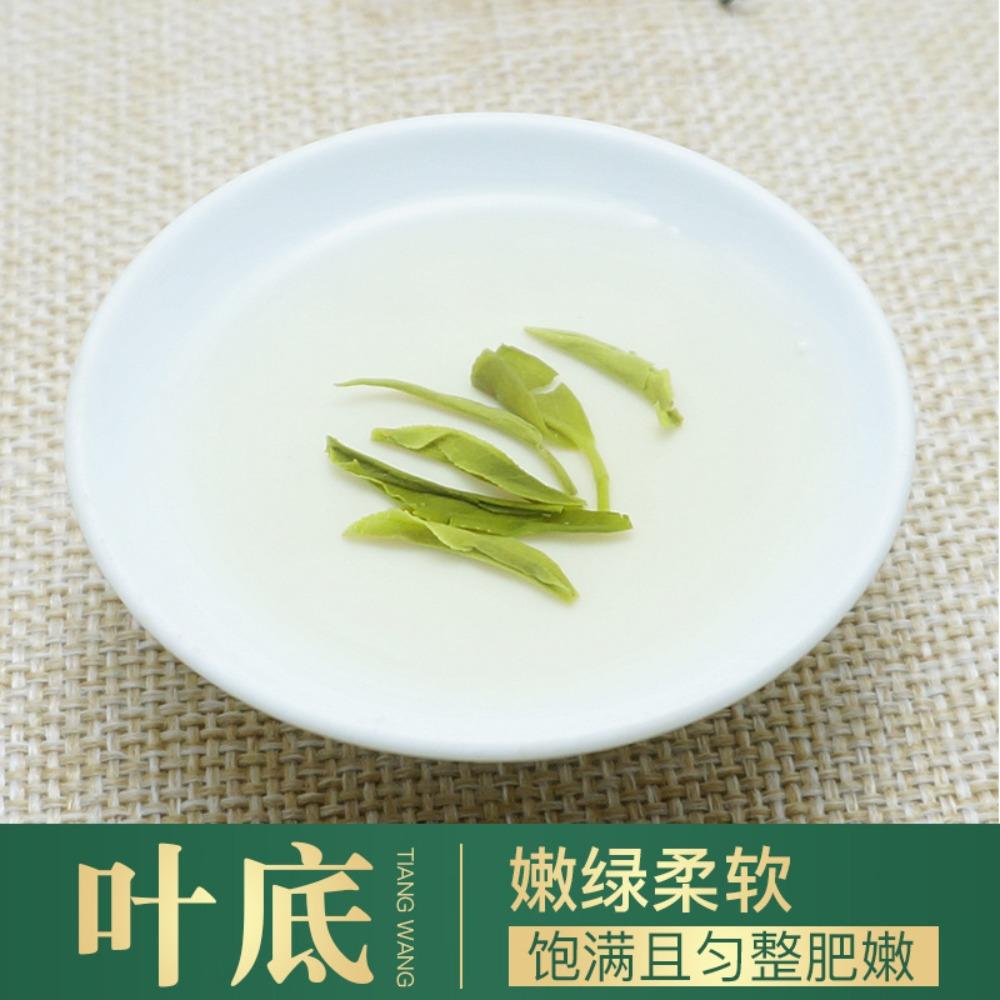 New Tea Maojian Strong Aroma High Mountain Cloud Mist Green Tea Canned Wholesale Non-Xinyang Maojian Gift Tea