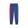 Puma Bmw Mms Trousers 62122204 R S