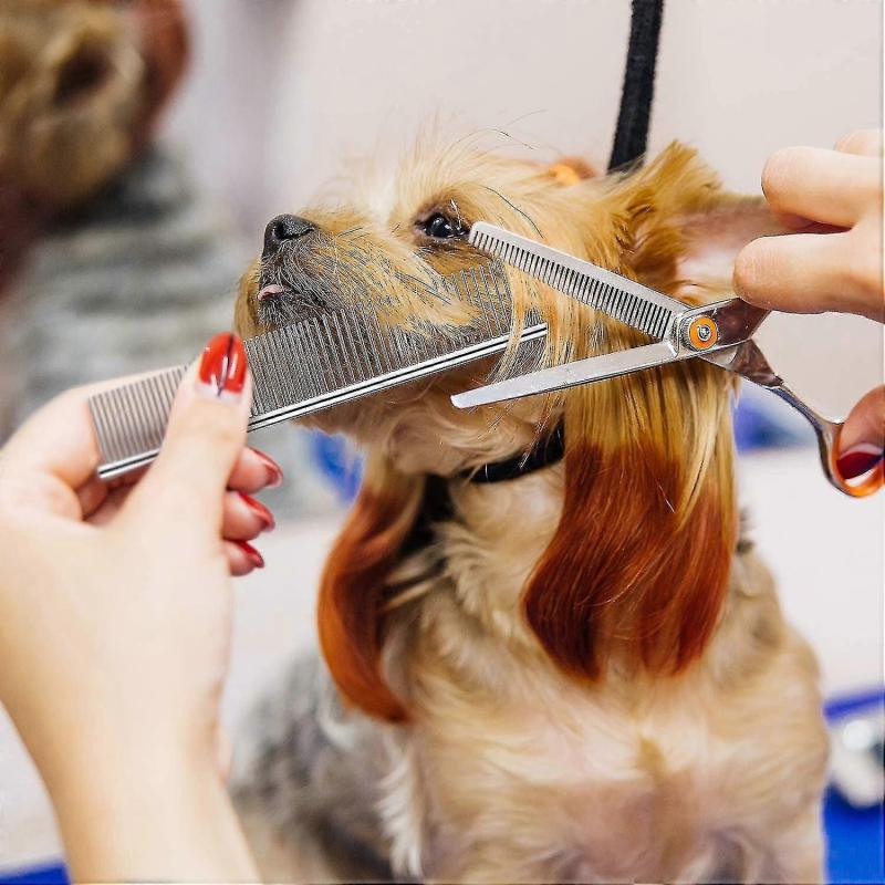 Stainless Steel Pet Comb Pet Grooming Comb Round Tooth Dog Comb For Dogs And Cats With Matted Hair (19 X 4cm)