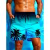New! Cool Beach Shorts, Personalized and Cool Creativity, 3D Printed Beach Casual Pants for Summer Streets