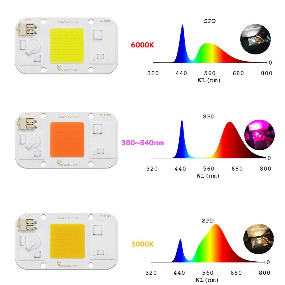 LED Chip Matrix Solderless AC 220V  High Power 20W 30W 50W COB Chip LED Lamp No Need Driver for Flood Light Spotlight Outdoor DIY Lighting