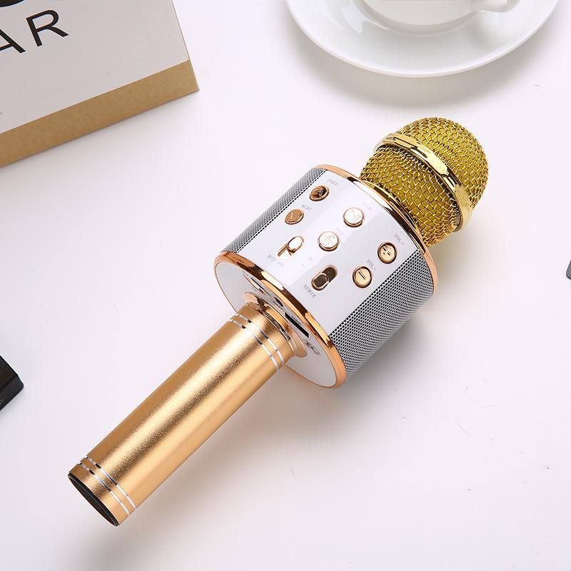 WS858 Bluetooth Karaoke Microphone for Children - Wireless Singing Mic with Speaker and Condenser features