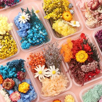 Trockenblumen-Set, echte natürliche Blumen, getrocknete Blumen in großen Mengen, DIY-Ewige Blumen, Material für handgefertigten Schmuck, Nägel, Basteln