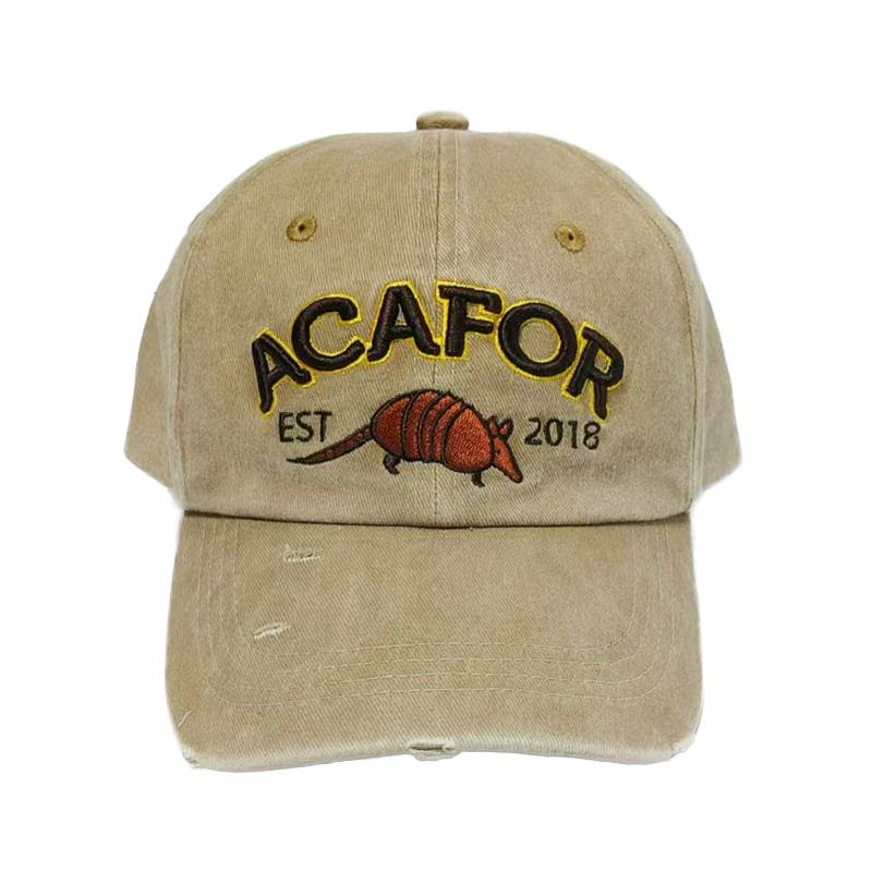 High Quality 100% Cotton 6-Panel Canvas Baseball Cap Heat-Transfer Printing Sporty New Snapback Gorras for Men Women Common