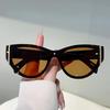 Vintage Cat Eye Sunglasses Women  New Fashion Outdoor Decor Shades Trendy Luxury Brand Designer Anti-UV Sun Glasses