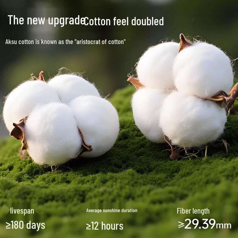 Mao Ren Men's Breathable Boxer Briefs