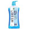 Dettol Mint Ice Cool Deep Cleanse Shower Gel
