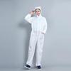 Anti-static Cleanroom Jumpsuit