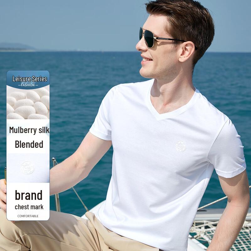 Antonio Men s V-Neck Silk Blend Short Sleeve T-Shirt 2XL