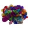 Set of 50 Pheasant Rooster Feathers Chicken Feathers Costume Millinery Craft