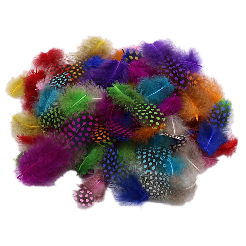 Set of 50 Pheasant Rooster Feathers Chicken Feathers Costume Millinery Craft