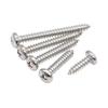 304 Stainless Steel Phillips Pan Head Self-Tapping Screws