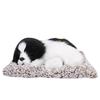 Simulation Sleeping Dog Puppy Ornament Animal Plush Toy Bamboo Charcoal  Decor (Black+White)