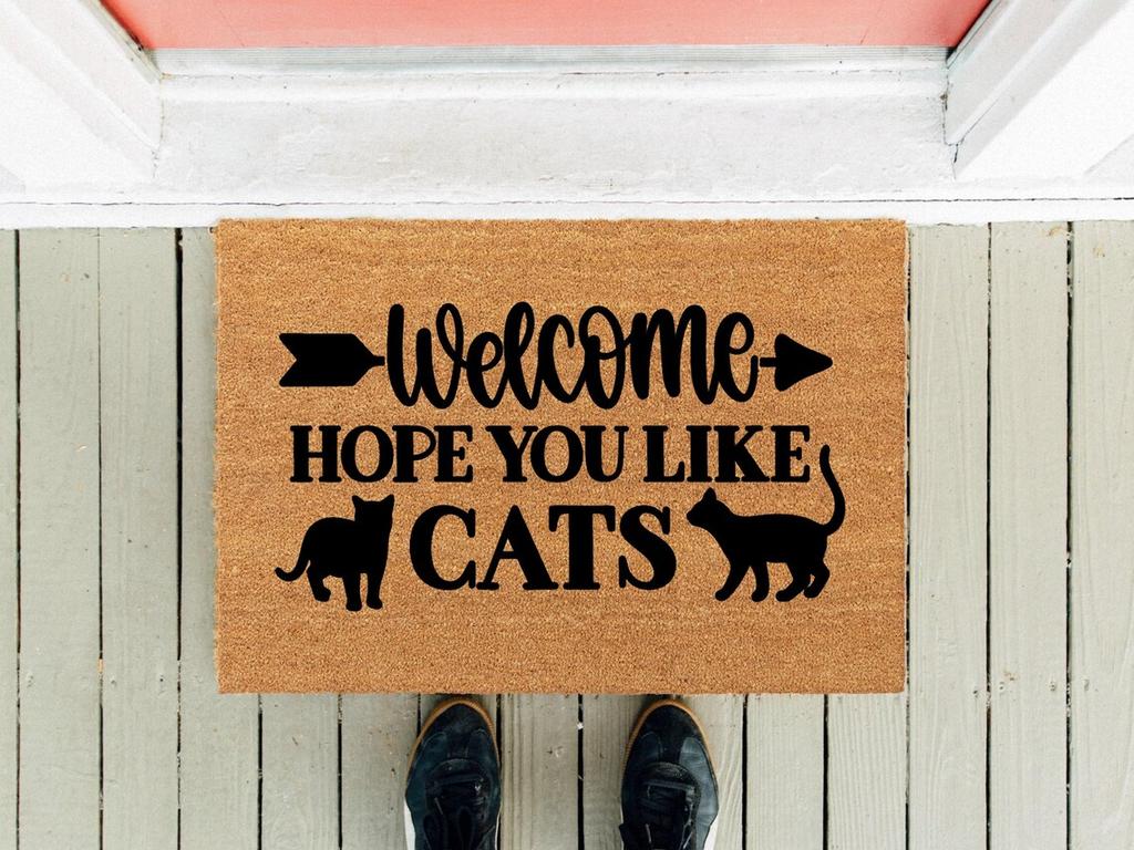 Welcome Cat Doormat I Hope You Like Cat Door Mats Please Take Off Your Shoes Home Decor Doormat