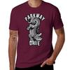 Parkway Drive Parkway T-Shirt Oversizeds Anime Cheap Stuff Men's T-shirts