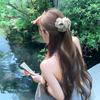 Peach Tea Jiangnan Floral Shark Clip: Elegant Half Updo Hair Accessory for Women
