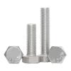 304 Stainless Steel External Hex Head Bolts
