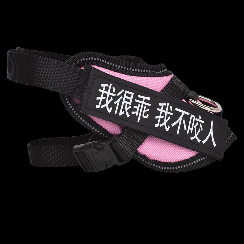 YOUNGER PET Anti-Escape Cat & Dog Harness Leash Set