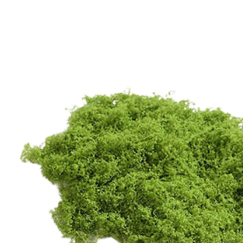 Potted Plant, Crafts, Lightweight Tank Decoration, DIY Artificial Block, Realistic Green Plants for