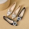 Huiliya Rhinestone 2025 Small Fragrant French Style Inner Height Increase Fashion Single Shoes Pointed Square Buckle Evening Shoes