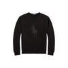 Polo FW23 Solid Logo Patch Sweatshirt Men Sweatshirt Black MNPOKNI16823190-001