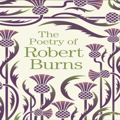 The Poetry of Robert Burns by Robert Burns Paperback Book 9781788885195