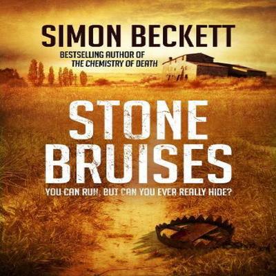 Stone Bruises by Simon Beckett Paperback Book 9780857502582