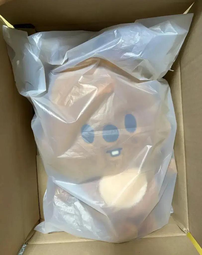 STRAY KIDS (unopened)
