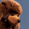 Lifelike Poodle Dog Doll Handmade Stuffed Plush Toy Realistic Teddy Puppy Simulation Animal Model Creative Gift Present