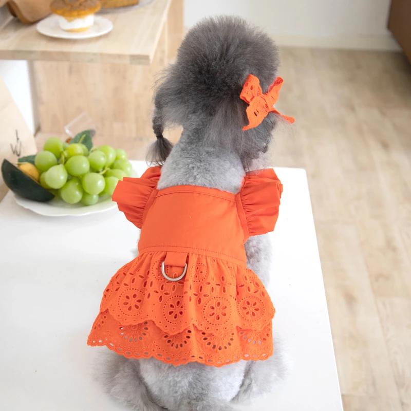 

Летнее платье для собаки, юбка для кошки, чихуахуа, йоркширский терьер, померанский шпиц, ши-тцу, мальтийская болонка, пудель, бишон, шнауцер, одежда для питомца, одежда для щенка XXL красный