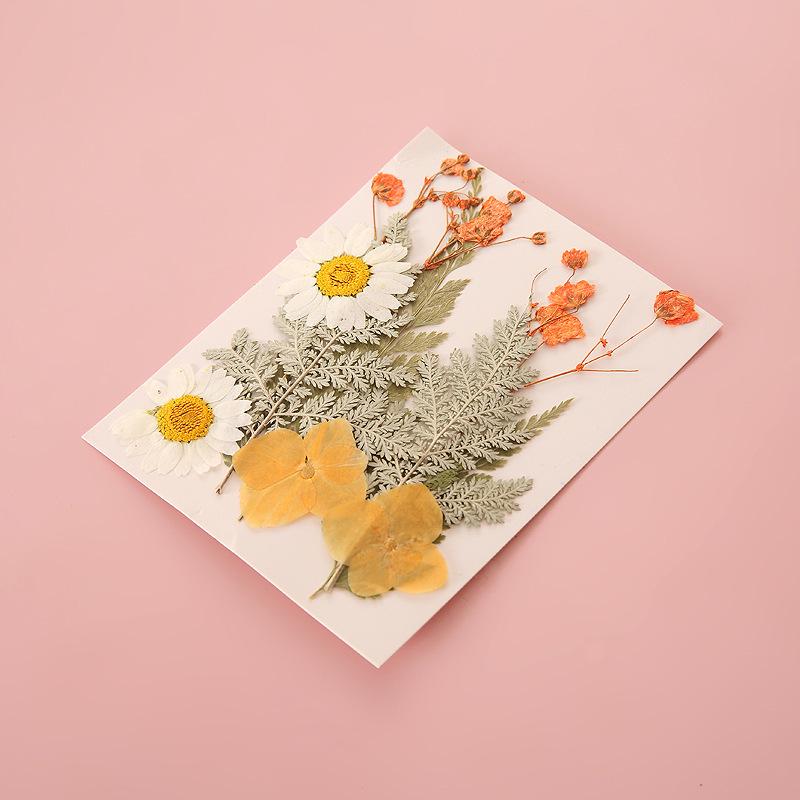 Handmade Pressed Flower Bookmark DIY Kit: Real Dried Flowers, Creative Craft, Unique Plant Specimen, Perfect Small Gift