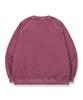 Compagno Pastel Bunny Raglan Pigment Sweatshirt Dusty Pink