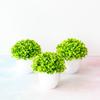 Artificial Plant Pot Household Tabletop Ornaments Simulation Green Plants Small Trees And Grass Multi-Style Garden Decoration