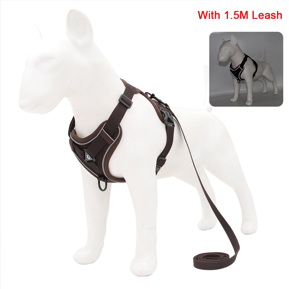 Harnais Anti-Traction Pour Chien, Harnais Chat Et Laisse, Gilet