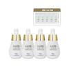 [mastina] Six Hours White Mastic Ampoule 15ml X 4 + 5 Samples (41072221)
