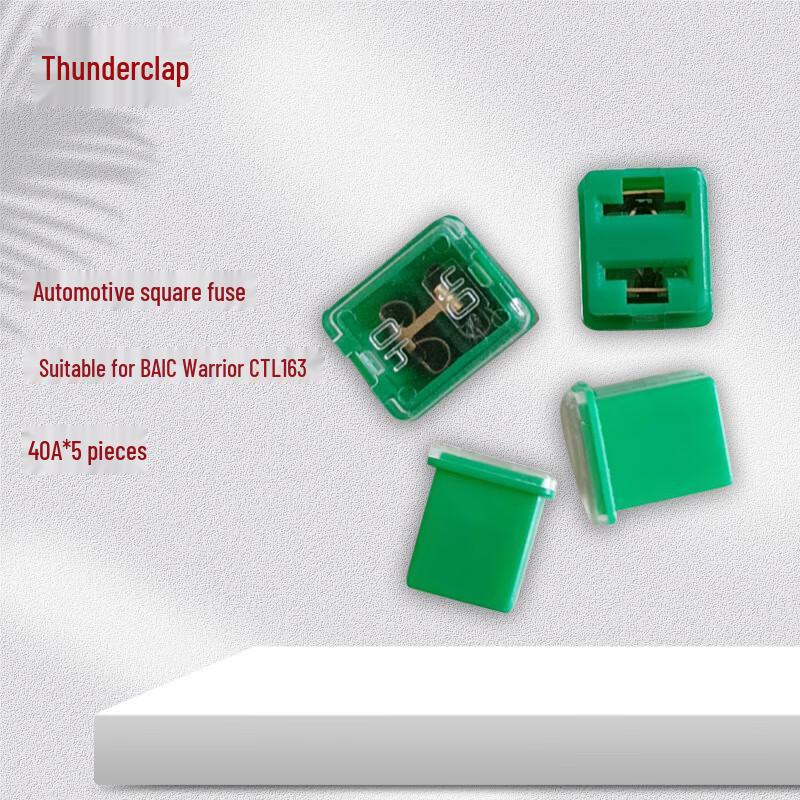 Lei Xiang 40A Square Car Fuse (5-Pack)