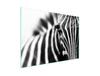 Glass Cooktop Protector 70x52 Zebra